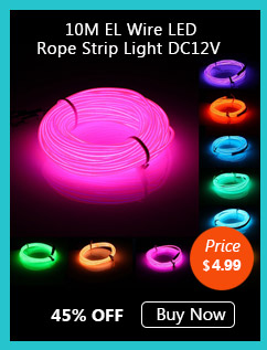 10M EL Wire LED Rope Strip Light DC12V 