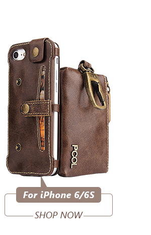 Detachable Zipper Wallet Hook Case For iPhone 6/6s