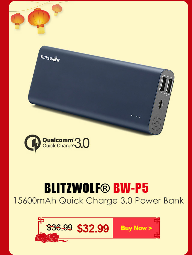 BW-P5 15600mAh Quick Charge 3.0 Dual USB Power Bank