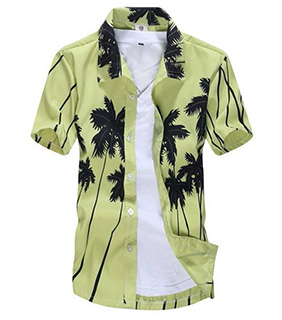 Hawaiian Polyester Quick-dry Beach Shirt