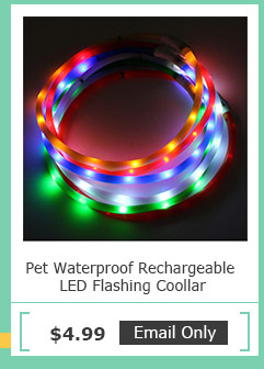 Pet Dog Waterproof Rechargeable LED Flashing Light Loop Collar