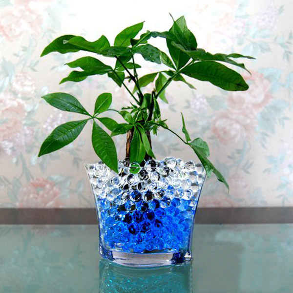 Water Beads For Plants 91
