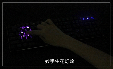 E-element Z88 81 Key NKRO USB Wired RGB Backlit Mechanical Gaming Keyboard Outemu Blue Switch 13