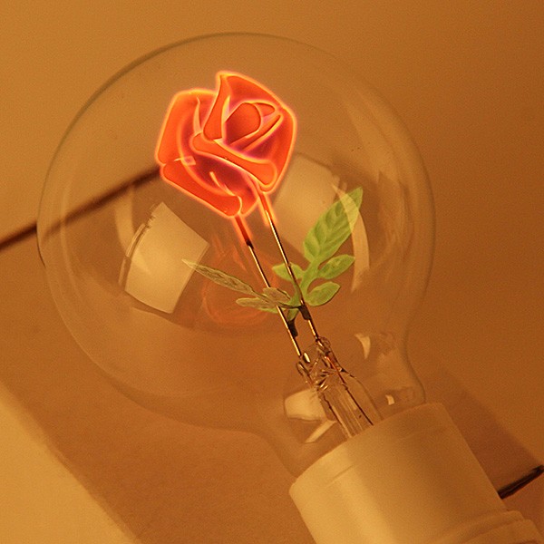 
E27 3W Incandescent Rose Shaped Edison Bulb AC220VNight Vision High Resolution 