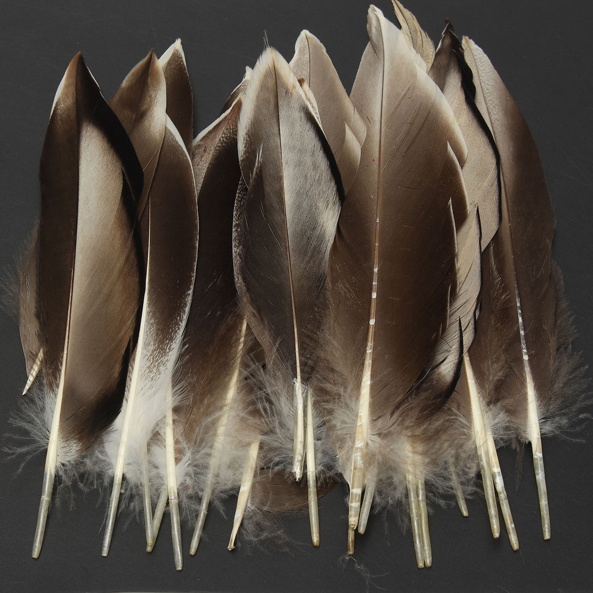 feather wedding craft design wholesale clothing accessories