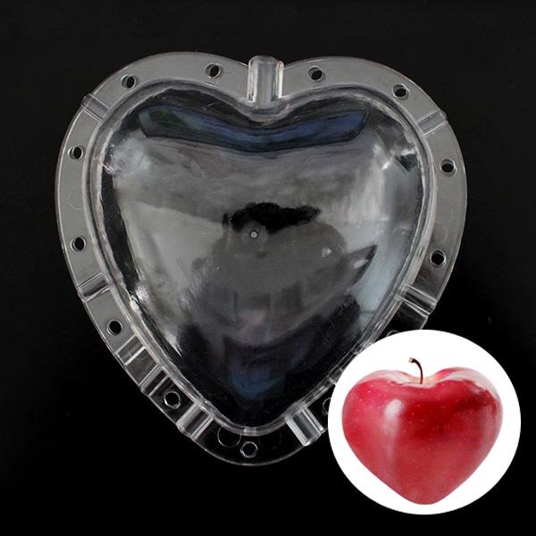 garden apple pear heart-shaped fruit mold
