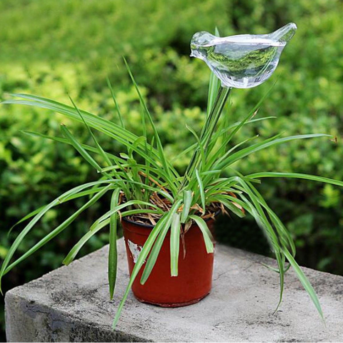 Bird Shaped Glass Plant Flower Holiday Watering Spike Stake Water Feeder - Photo: 1
