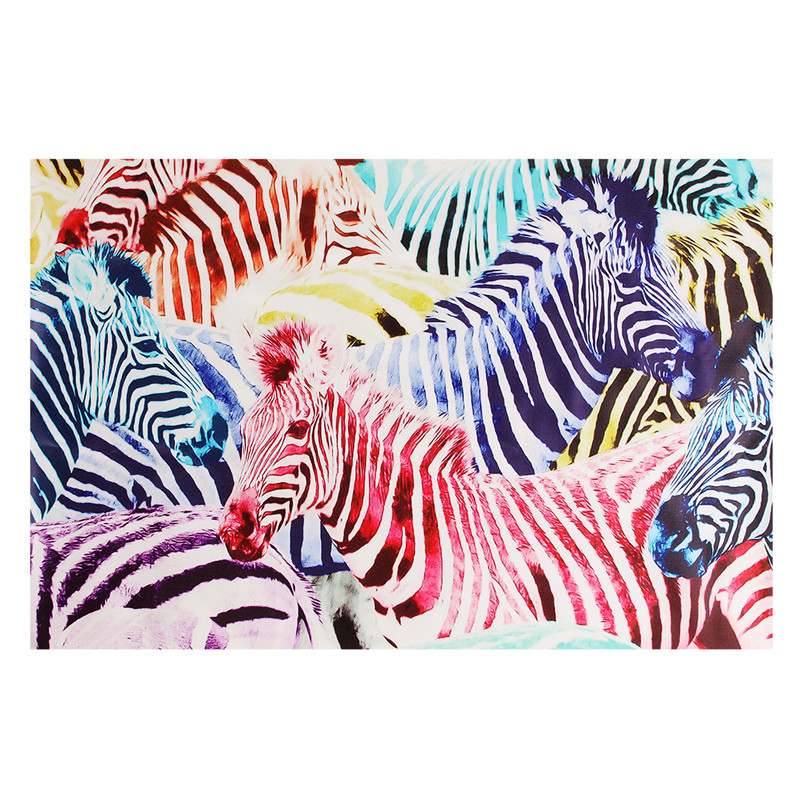 

Holiday Decoration Multicolored Zebra Patterns Picture Home Decorations