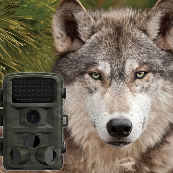 DL-2 MI5100 CMOS IP54 Hunting Monitoring Camera 