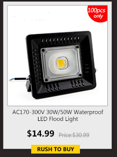 AC170-300V 30W/50W Waterproof LED Flood Light