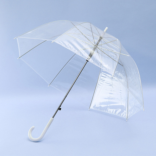 

Clear Dome See Through Long Handle Transparent Umbrella