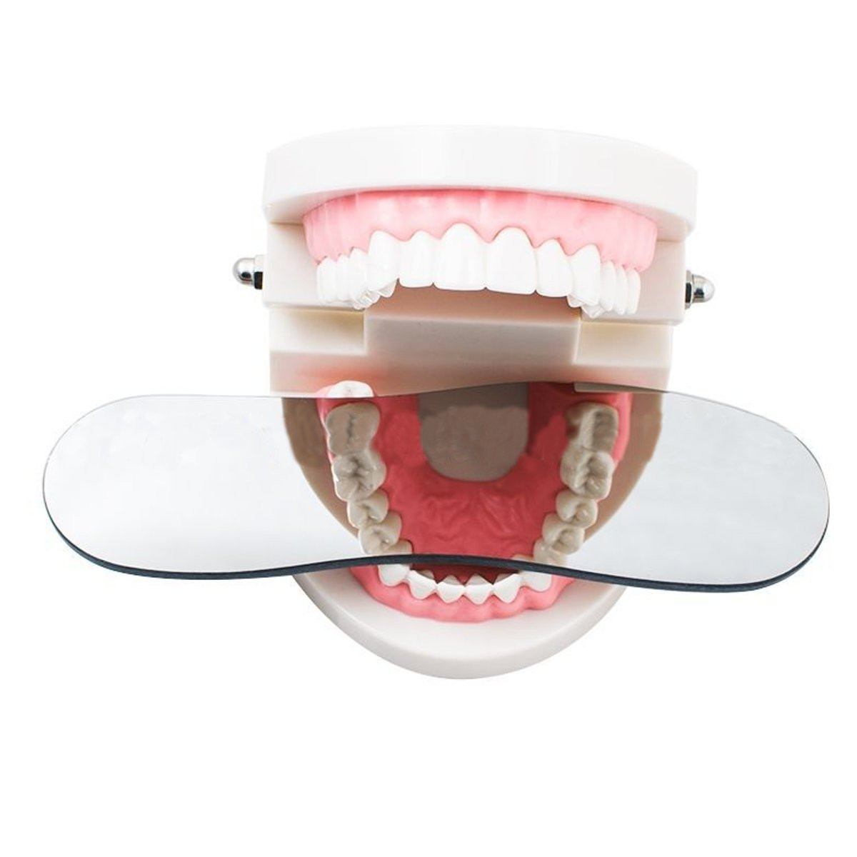 

Dental Oral Clinic Orthodontic Photographic Glass Mirror Two-Sided Reflector
