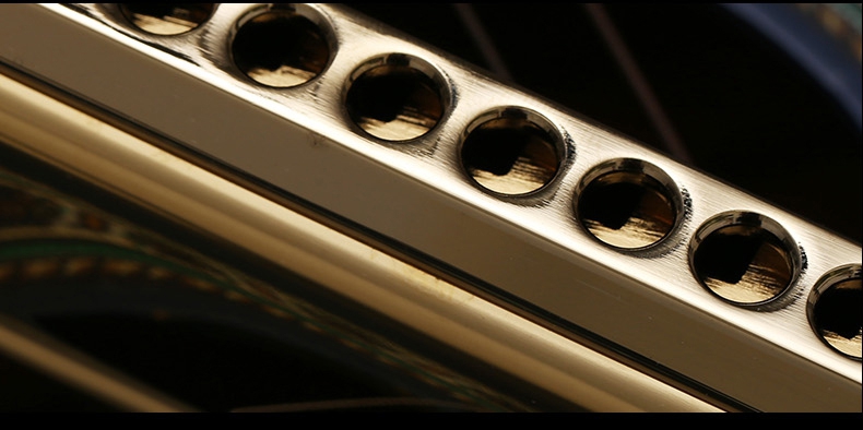 Swan Professional Gold C Key 10 Hole 40 Tone Chromatic Harmonica SW-1040 - Photo: 8