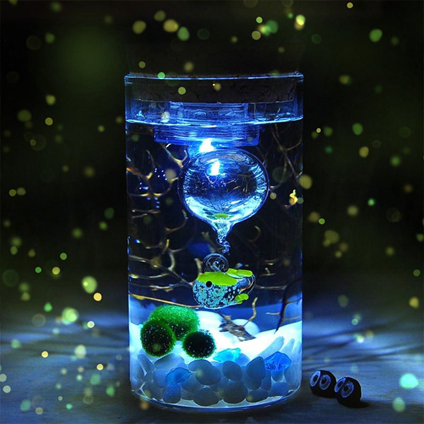 micro landscape glass bottle with LED light