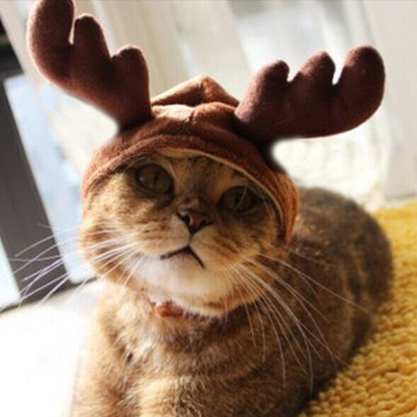 Costume de Noel Pet Cat Doggy Antlers Cap Hat Vetements pour animaux de compagnie
