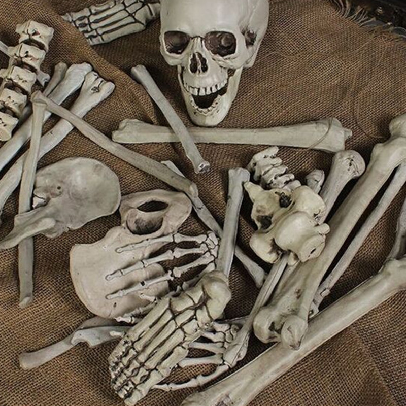 28PCS Adult Skeleton Bone Grave Skull Halloween Haunted House Decoration Props - Photo: 1