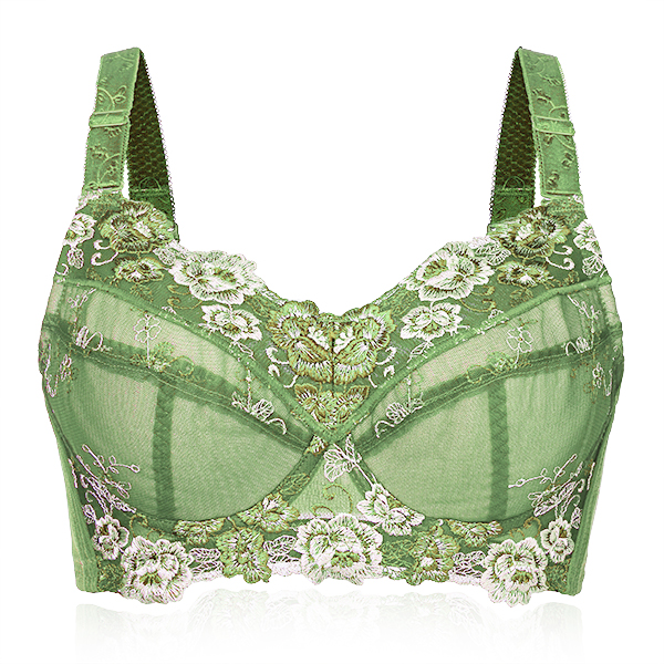 Plus Size B-H Cup Floral Embroidery Underwire Thin Bra at Banggood