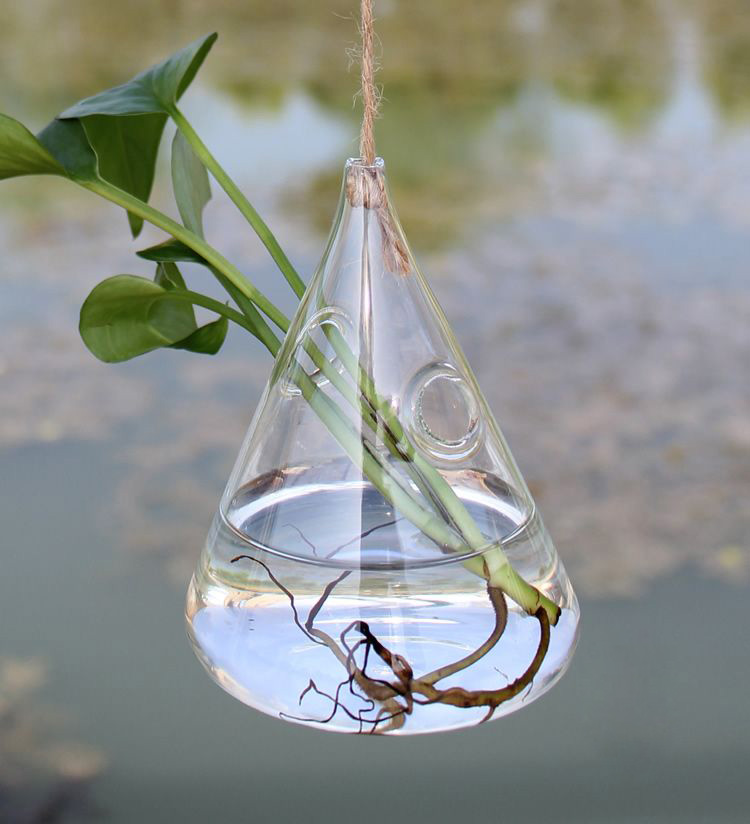 Glass Vase Blumenvase Hängende Hydroponic für Pflanze Wassertropfen 