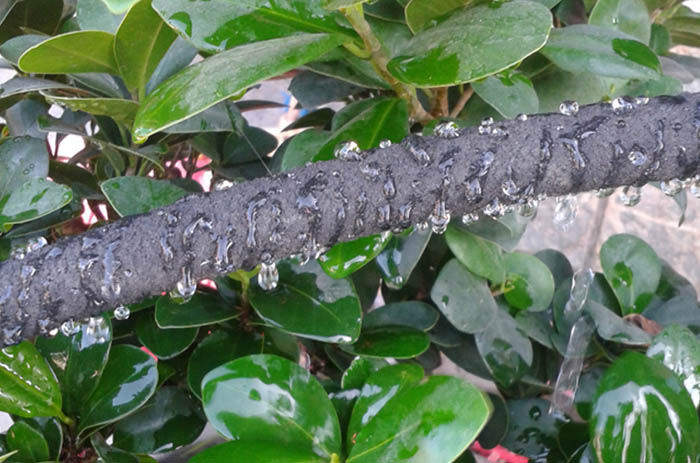 100FT Garden Lawn Porous Soaker Hose Watering Water Pipe Drip Irrigation Tool