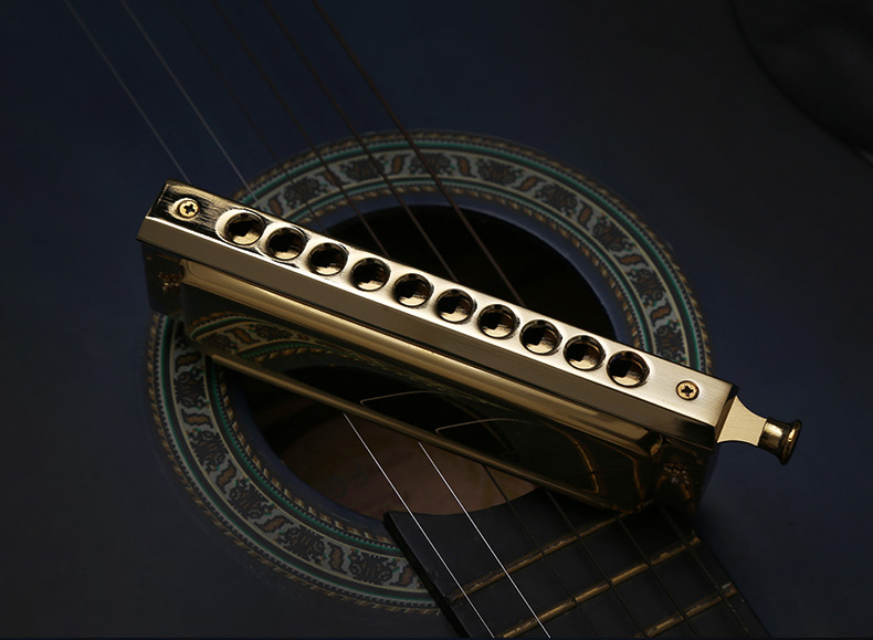 Swan Professional Gold C Key 10 Hole 40 Tone Chromatic Harmonica SW-1040 - Photo: 2