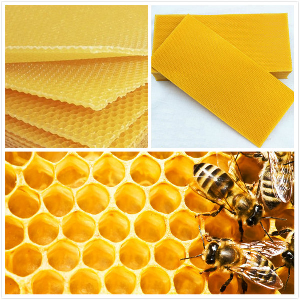 

30Pcs Honeycomb Foundation Beehive Wax Frames Waxing Beekeeping Equipment Bee Hive Comb Honey Frames