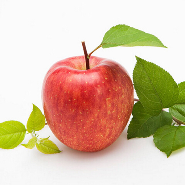 Egrow 100 Pcs Pack Apple Tree Graines Jardin et Maison En Pot Fruit Rouge Pomme Graines Bonsai Plantes