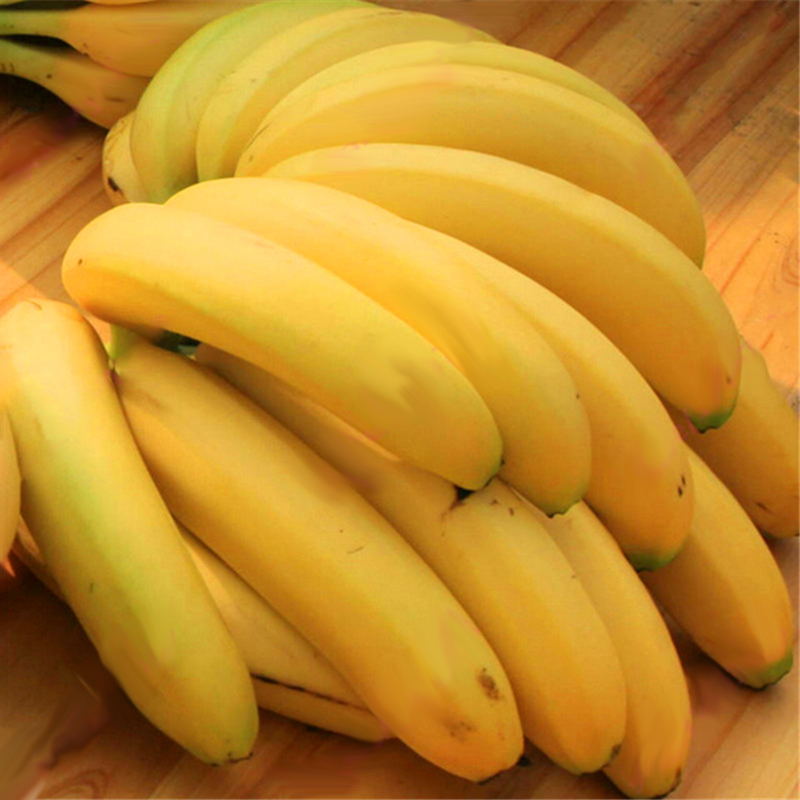 Lot de 200 pcs semences de banane de jardin arbre de banane naine vivace en pot a gout de lait