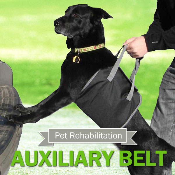 Pet Dog Auxiliary Belt Carrier Bag Assist Sling Outdoor Portable Lift Support Rehabilitation Harness