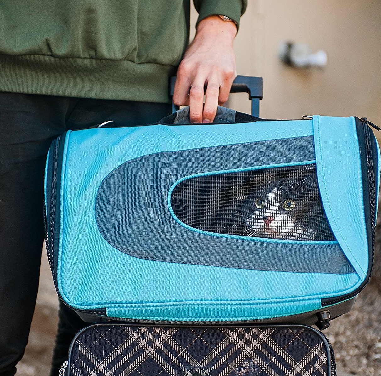 Portable portatif de chat de petits chiens danimal familier de voyage de chien avec le rembourrage confortable a linterieur du sac danimal familier