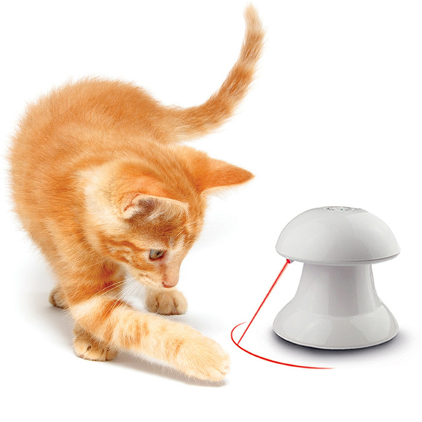 Funny Pet Toy pour taquiner les chats chiens jouets laser rouge jouets pour chiens chat