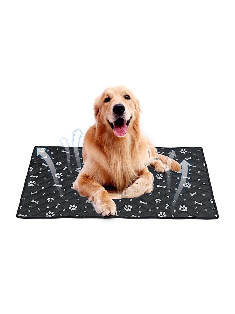 Atmungsaktive Hunde-Auto-Matte Haustier-Hunde-Auto-Kissen Ice Pad Hundezubehör
