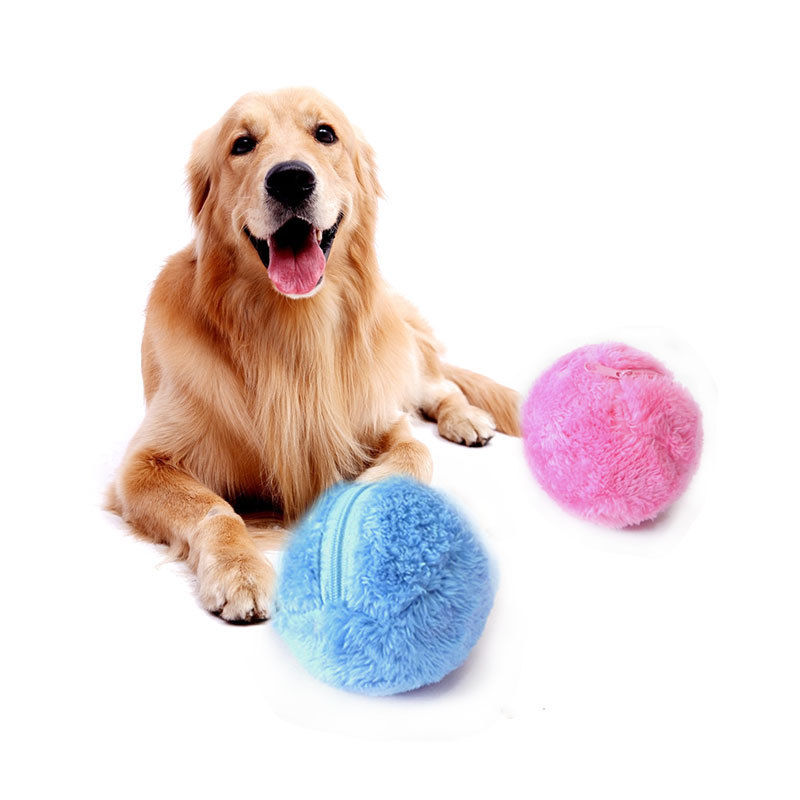 Le chat aleatoire de chien d'animal de couleur joue la boule interactive electrique de boule d'activation