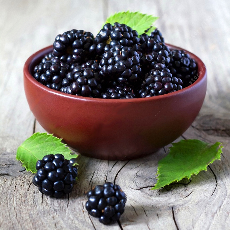 Egrow 200 Pcs Blackberry Fruits Graines Accueil Jardin Plantation Vivaces En Pot Douce Graine De Fruits