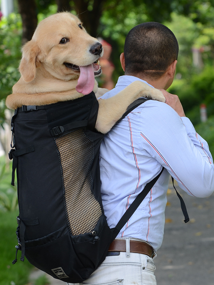Haustier Schulter Traveller Rucksack Hund Outcrop Belüftung Atmungsaktiver waschbarer Fahrrad Outdoor Rucksack