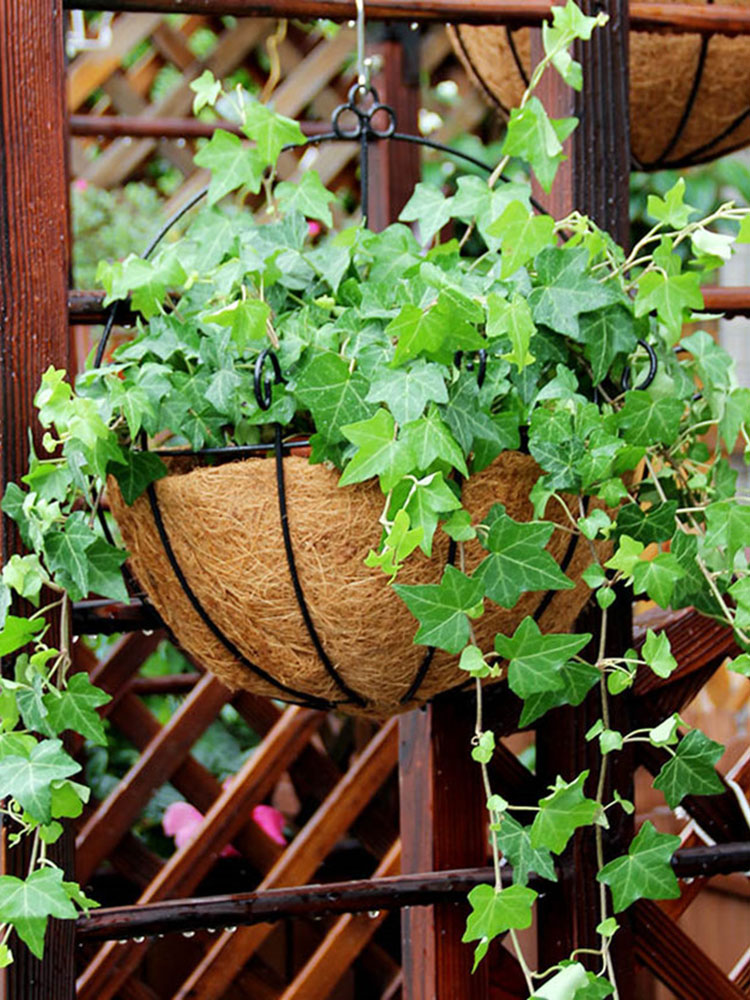 Kreativer Eisen-Wandmontage-Pflanzer mit umweltfreundlichem Kokosnuss-Liner Garden Balcony Home Decor