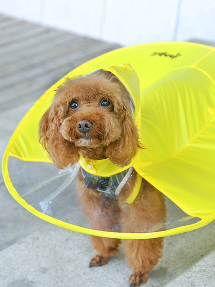2 Farben Pet Dog UFO Form wasserdicht Raincoat Dog Raincape