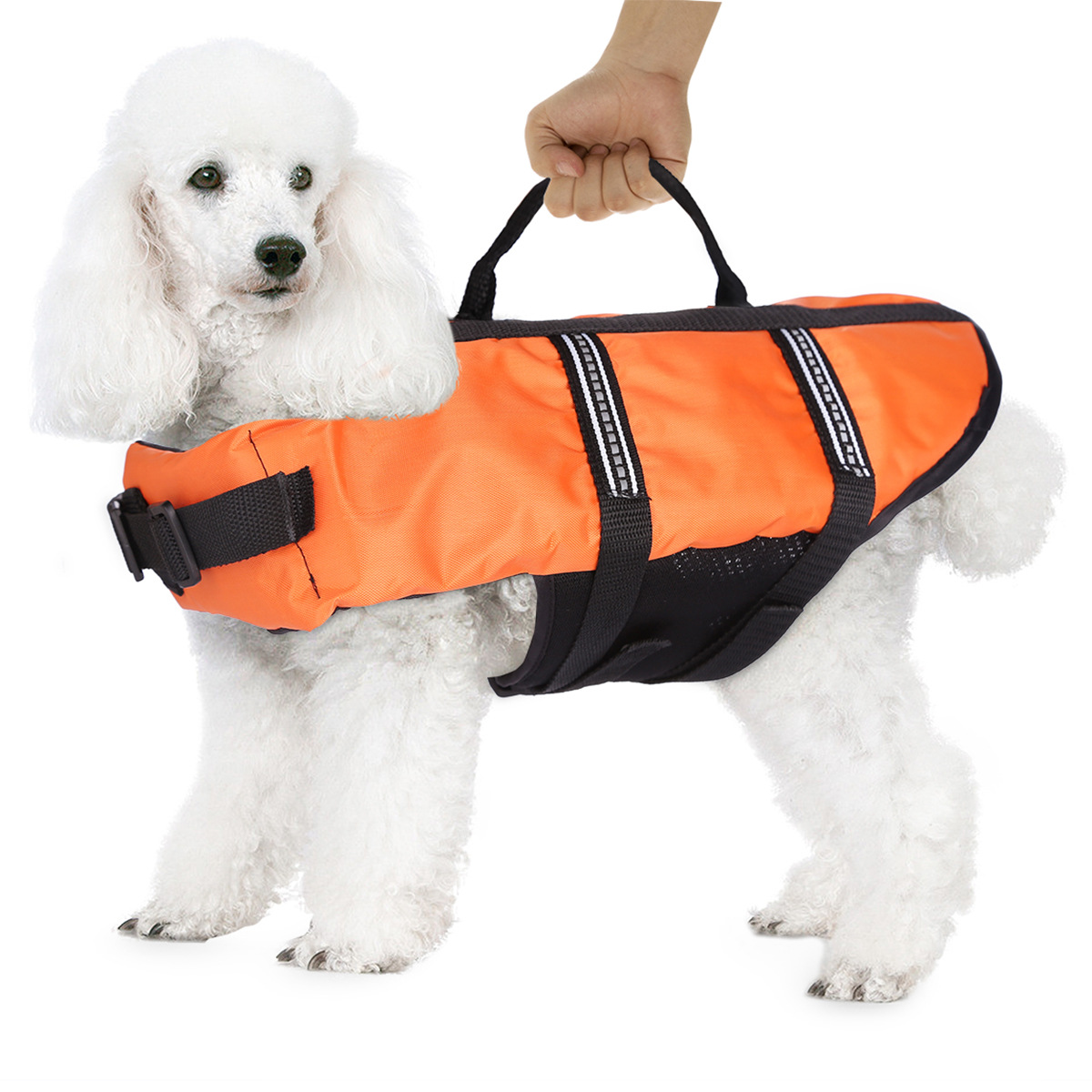 3 couleurs Pet Dog Natation Veste de sauvetage Summer Dog Life Gilet