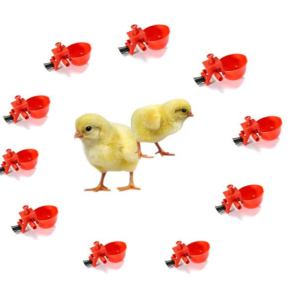 

50Pcs Automatic Feed Poultry Water Drinking Cup Chicken Drinker