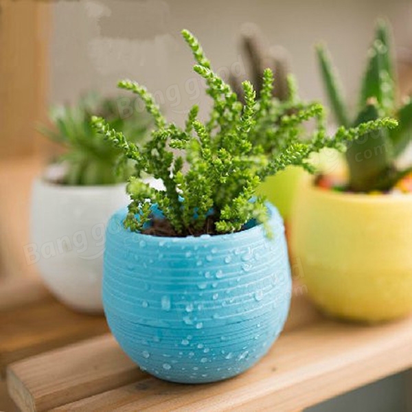 Mini Colorful Round Succulent Flower Pot Garden Office Home Decor at ...