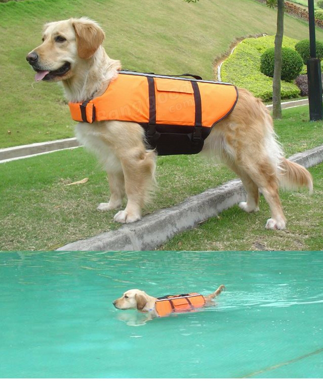 Orange Light Weight Pet Dog Life Jacket Swimming Safety Vest US14.04 sold out